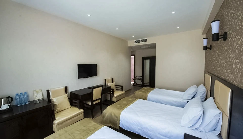 هتل تبلیسی این تفلیس